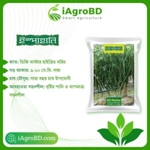 ডিজি মাস্টার (DG Master) Seeds - iAgroBD